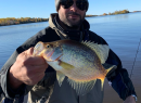 Fall 2020  Crappie