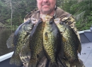 Nice patch of 2015 crappies on TFF