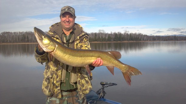 Dan 45 Inch Musky - Caught in Mercer, WI